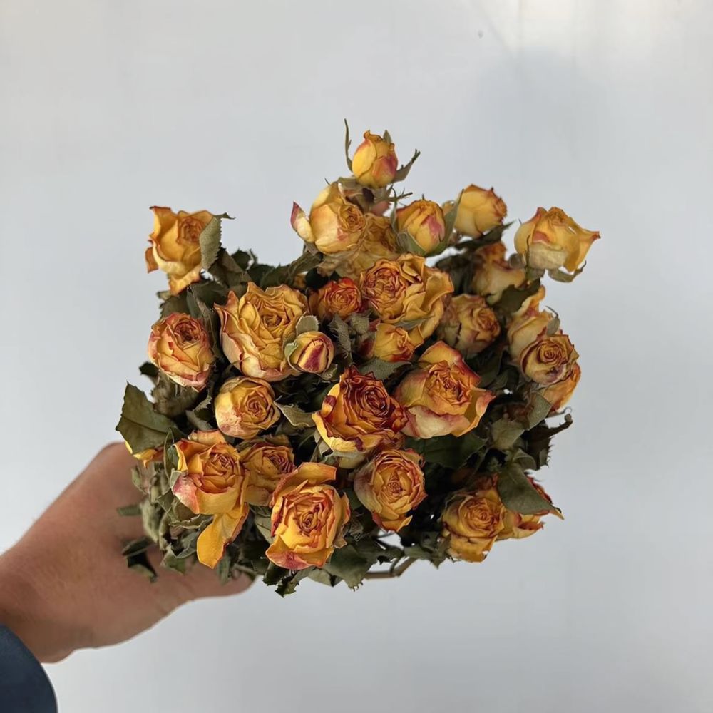 ช่อดอกกุหลาบแห้งจริง ดอกไม้แห้ - Resin Art Rose บทวิจารณ์และราคา